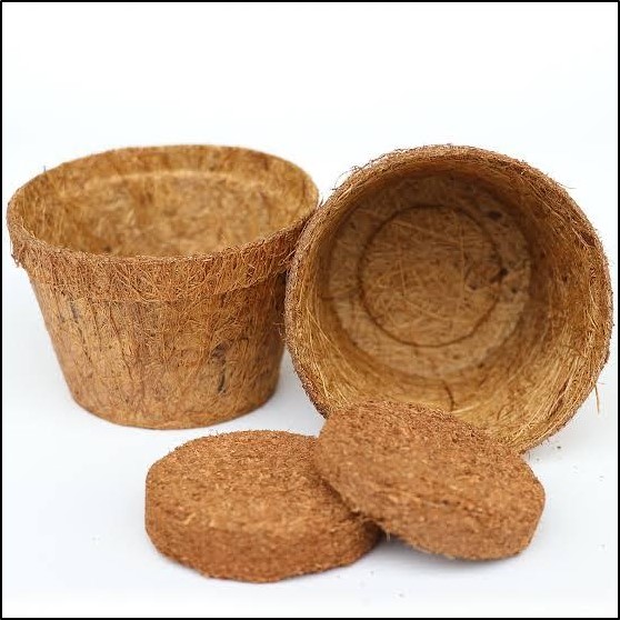 Coir products